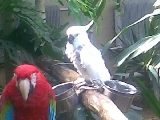 大連森林動物園