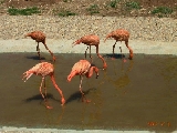 大連森林動物園