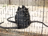 大連森林動物園