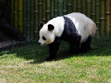 大連森林動物園